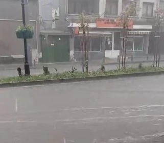 Порой удави Стара Загора ВИДЕО 