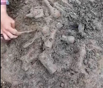 Нови сензации в Хераклея Синтика ВИДЕО 