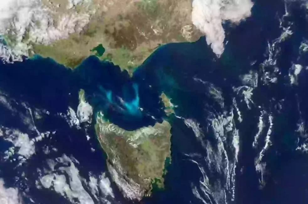 NASA откри гигантска форма на живот в океана, вижда се дори от космоса Снимки