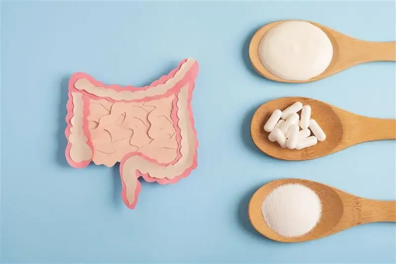 Пробиотичната сила на Lactobacillus bulgaricus: Защо българското кисело мляко е супер храна?