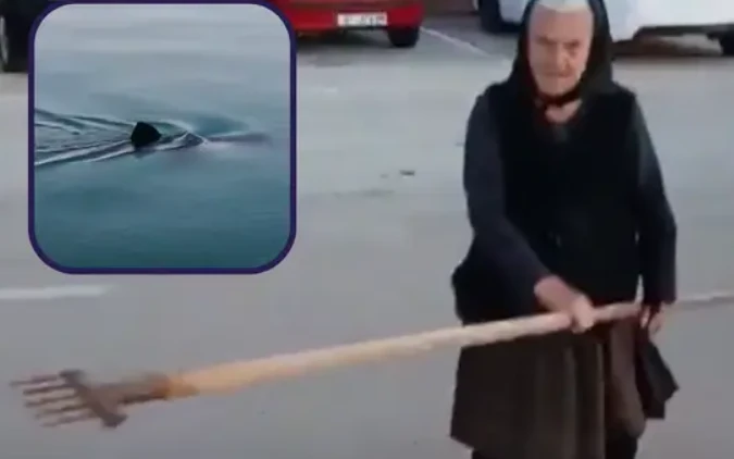Баба на 90 г. улови октопод с триметрово копие, докато наблизо плуваше акула снимки