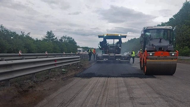 Извадиха на тезгяха цяло екоселище край Белоградчишките скали