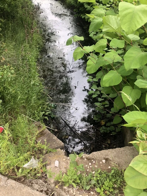 Знамение? Водата в столична рекичка стана черна Снимки