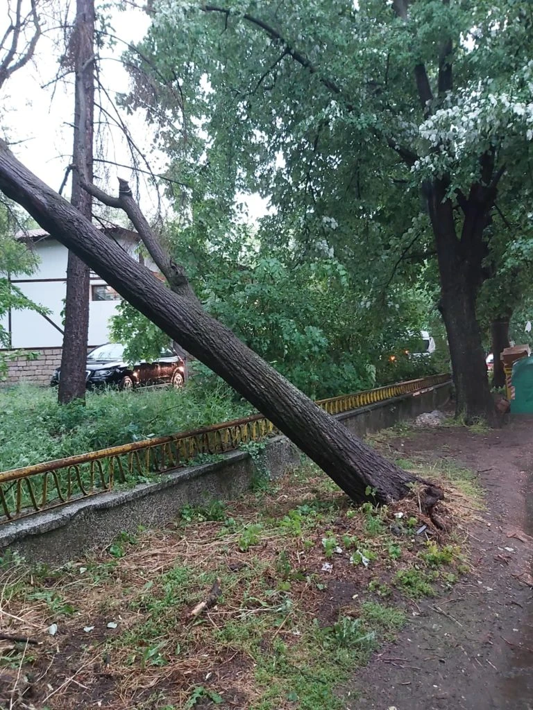 Свирепа стихия удари Разградско, всичко е под вода Видео, снимки