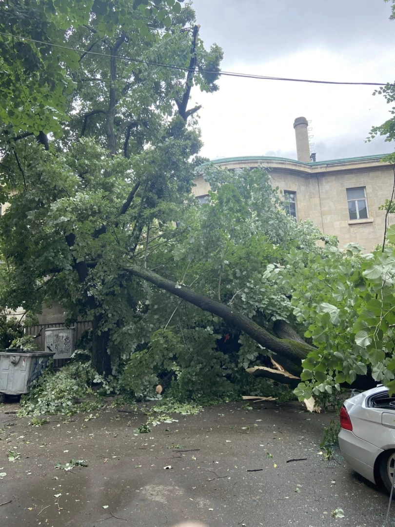 Природата с голяма поразия в Русе, няма жертви като по чудо Снимки