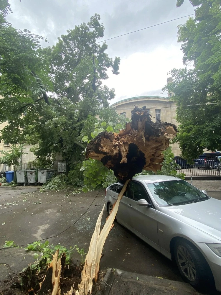 Природата с голяма поразия в Русе, няма жертви като по чудо Снимки