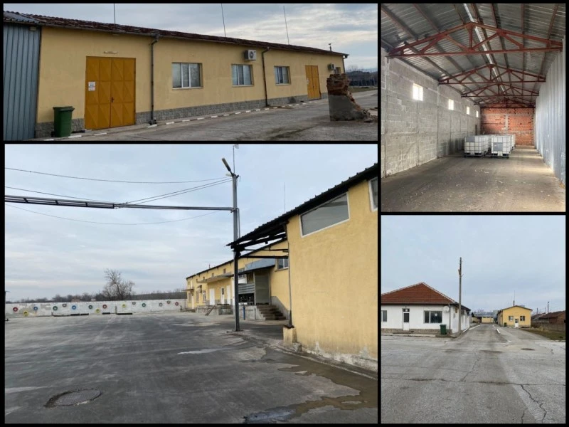 Извадиха на тезгяха цяла фабрика за олио, цената й пада главоломно 