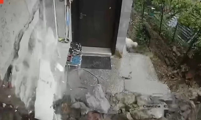 Видео показва момента на срутването на стена в Перник - "Чу се страшен тътен"
