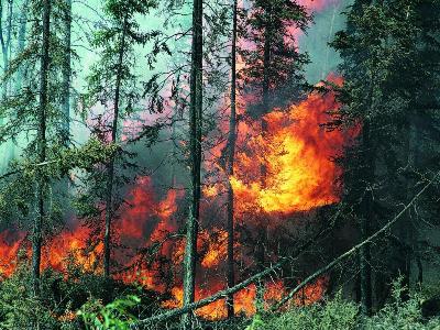 Два испански самолета ще гасят пожара в Рила