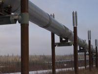 Цената на газа скача с близо 24% 