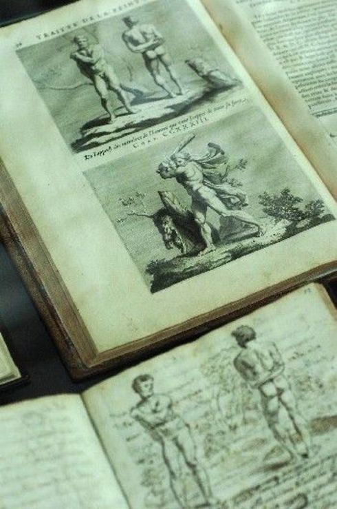 Трудовете на Леонардо не са нападнати от плесен