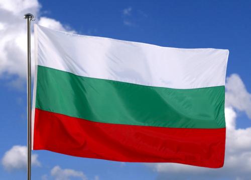 Не е започнало дело срещу циганите, гаврили се със знамето ни