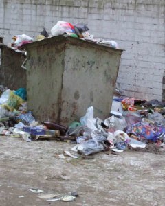Шест бебешки трупа открити в кофа за боклук в Москва
