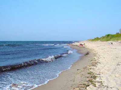 Екосистемата на Балтийско море е сериозно застрашена