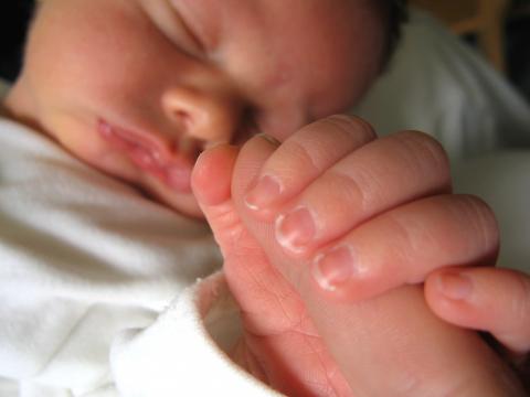 Близнаци  се родиха на улицата в Канада 