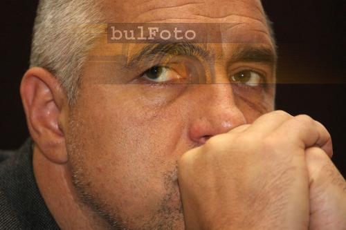 Борисов гледал над 50 кучета, може да свири и на китара 