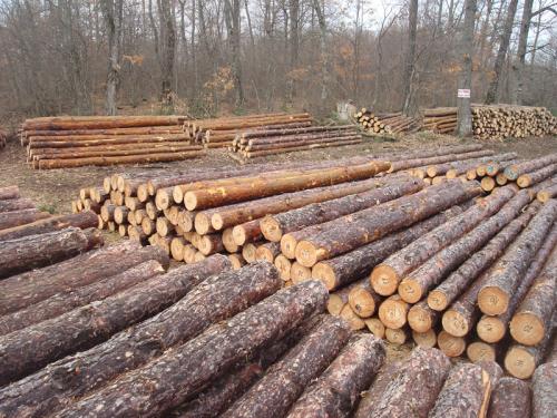 КНСБ загрижени за 500 работника, оставащи без работа 
