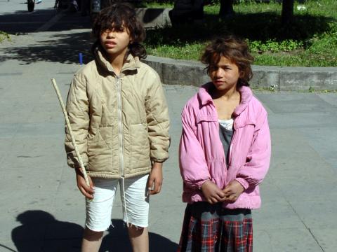 Брациговци хващали сираци да им берат розите