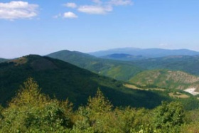До последния миг БСП давала гори край морето за 5 лв./кв.м
