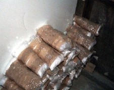 Всеки четвърти ученик употребявал дрога
