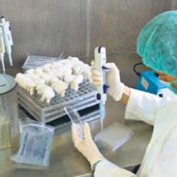 Първа жертва на вируса А/H1N1 в Испания
