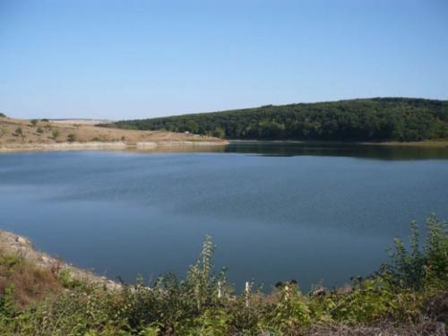 Две момчета се удавиха във водоем в Разградско