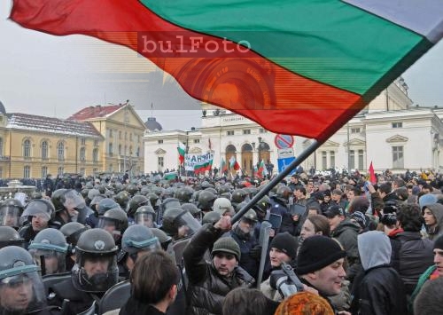 Трябва ни котка, която лови мишки!