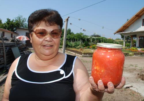 В  Хасково отглеждат домати-гиганти
