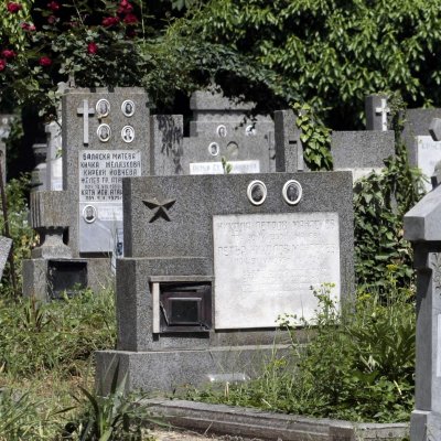 Тинейджъри вилнеят на гробищата в Пазарджик