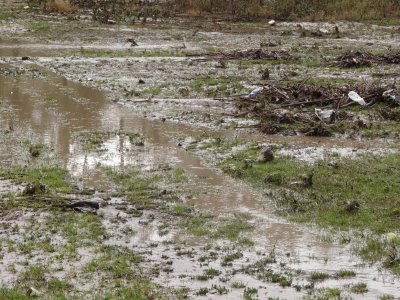 Сграда на кметство застрашена от срутване заради валежите