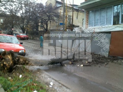 Дърво се стовари върху русенец, жив е